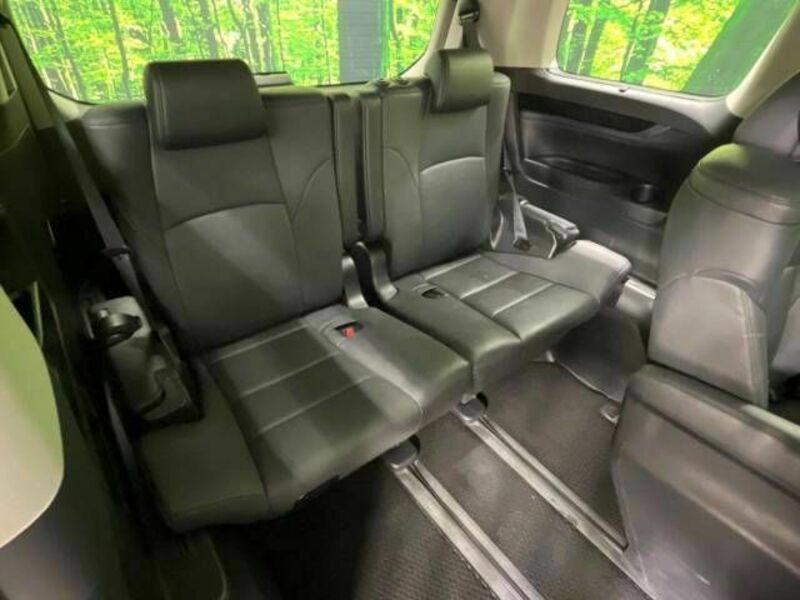 ALPHARD-10
