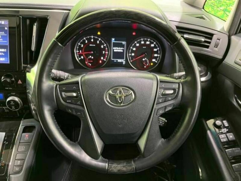 ALPHARD-11