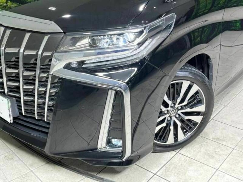 ALPHARD-12