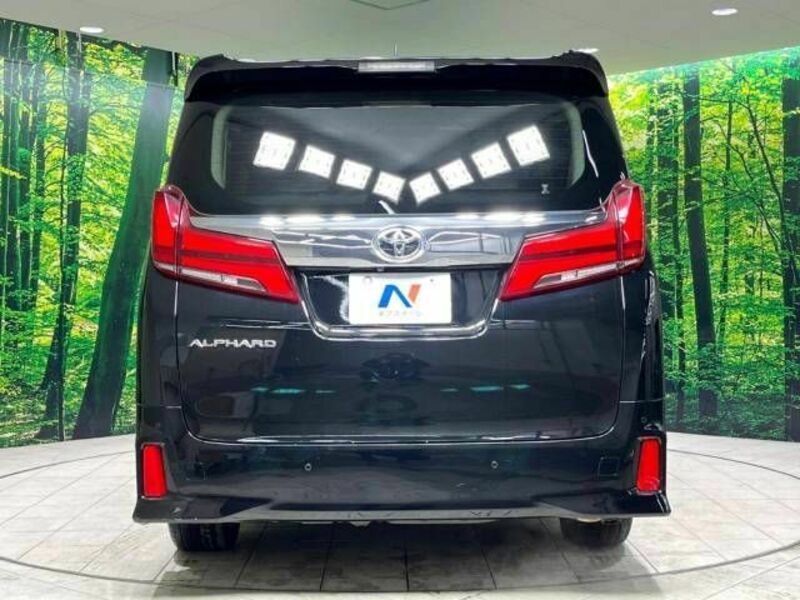 ALPHARD-15