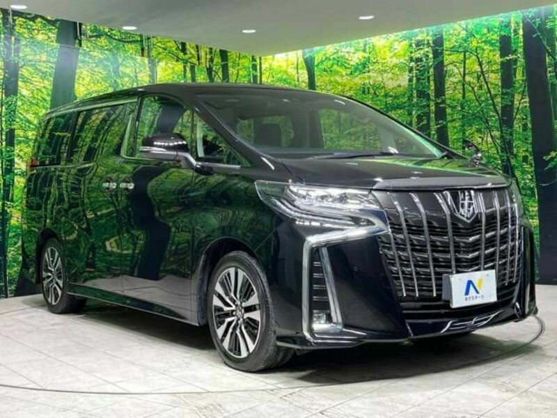ALPHARD-16