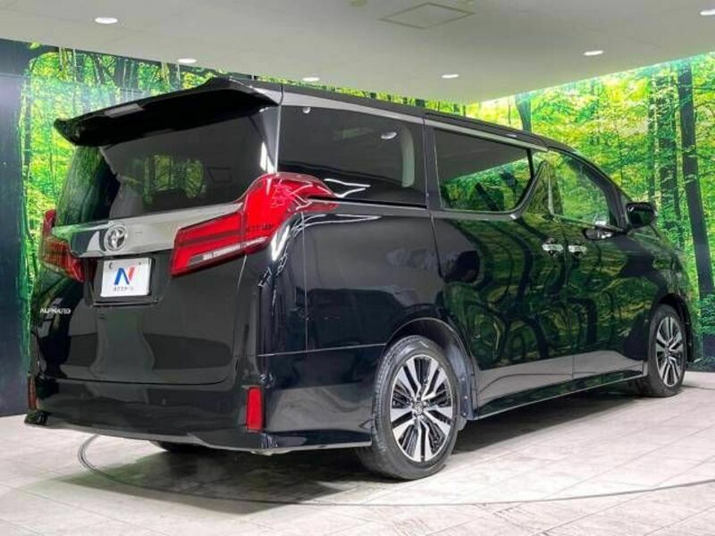 ALPHARD-17