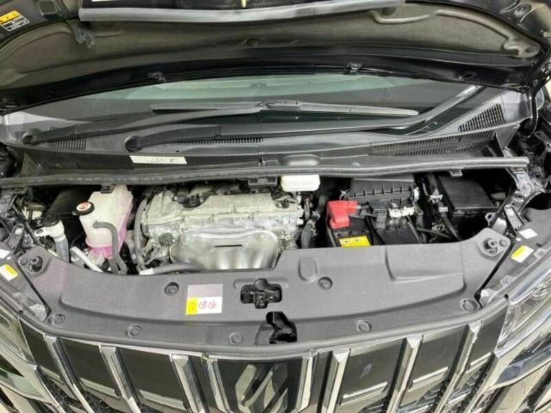 ALPHARD-18