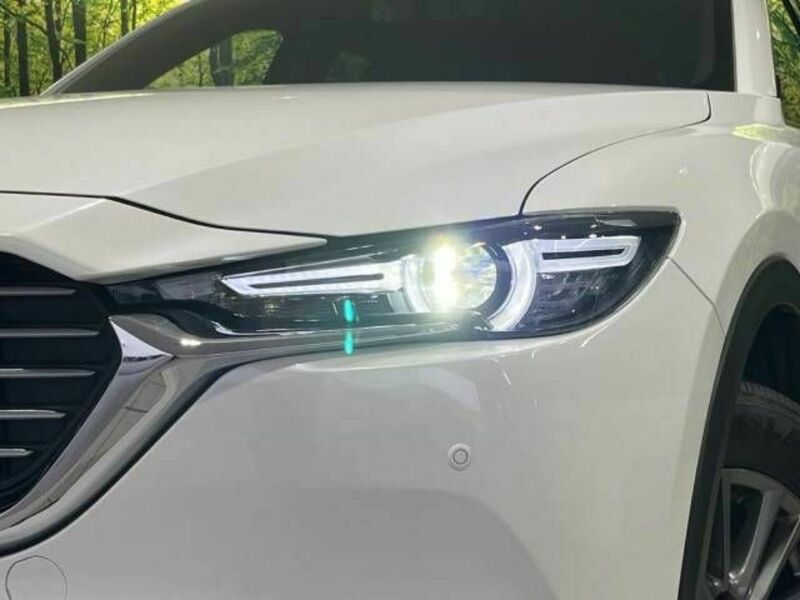 CX-8-13