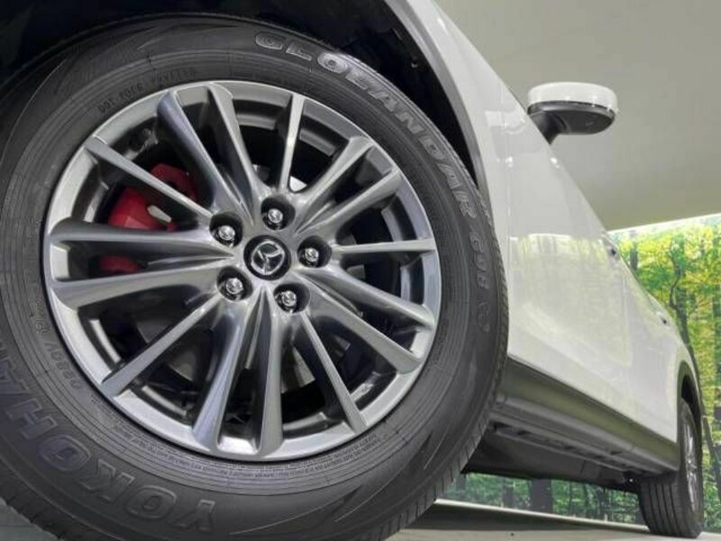 CX-8-14