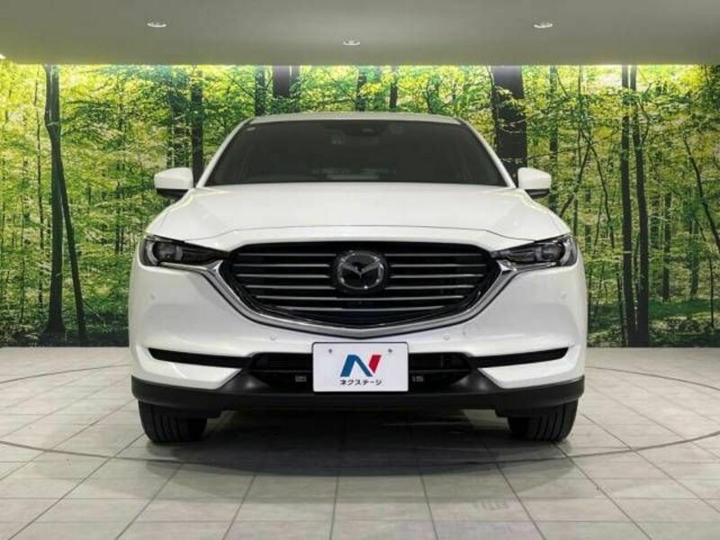 CX-8-15