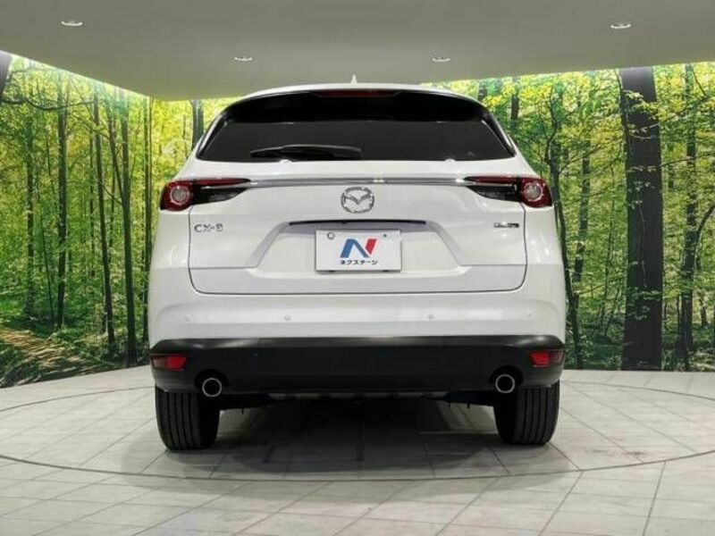 CX-8-16