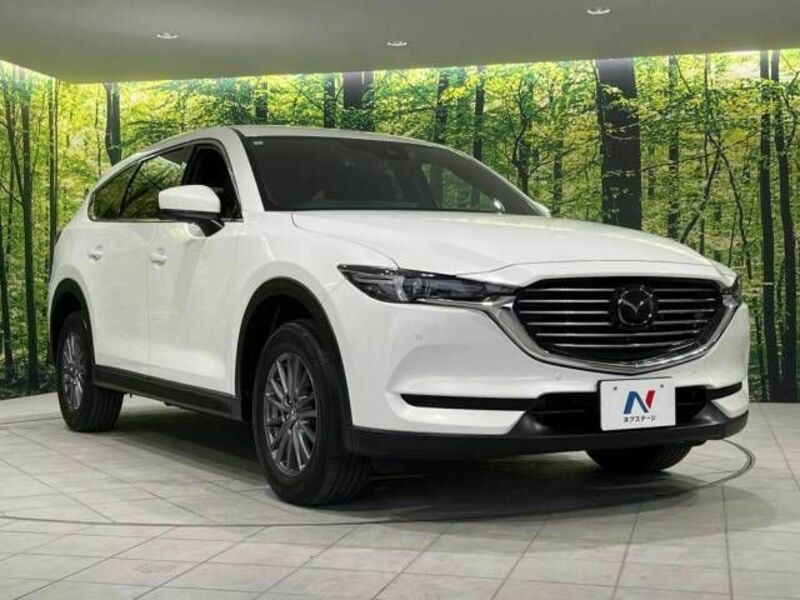 CX-8-17