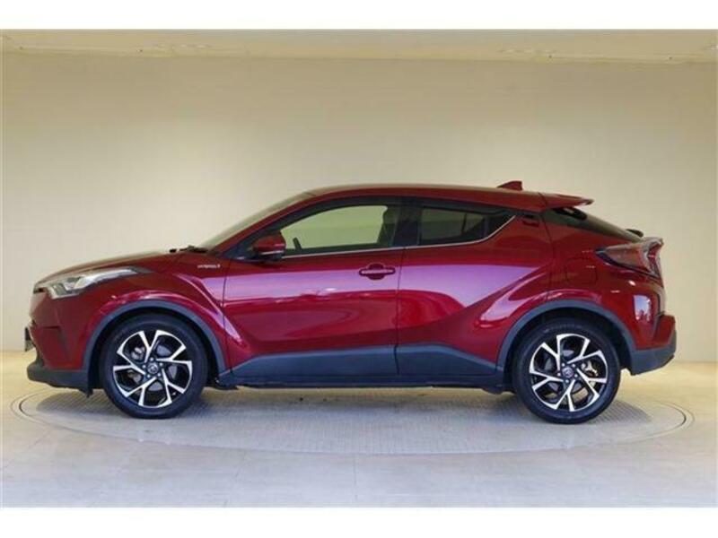 C-HR-19