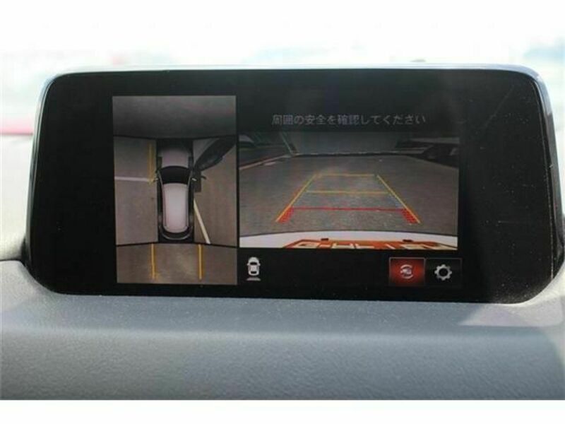CX-8-2