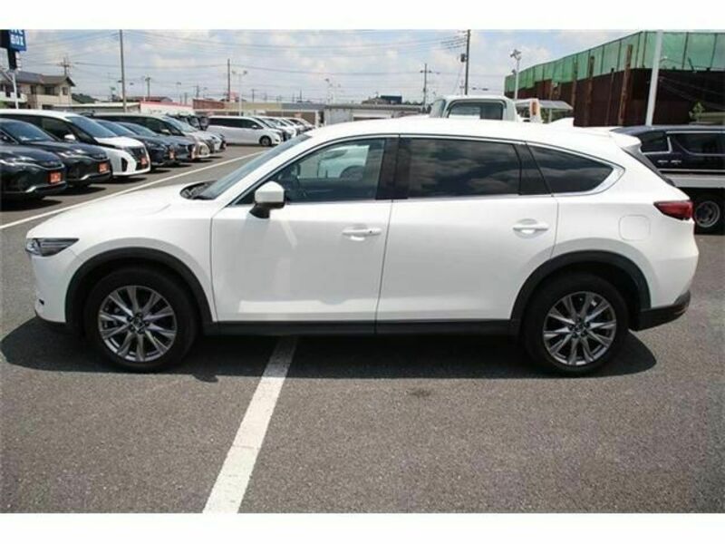 CX-8-8