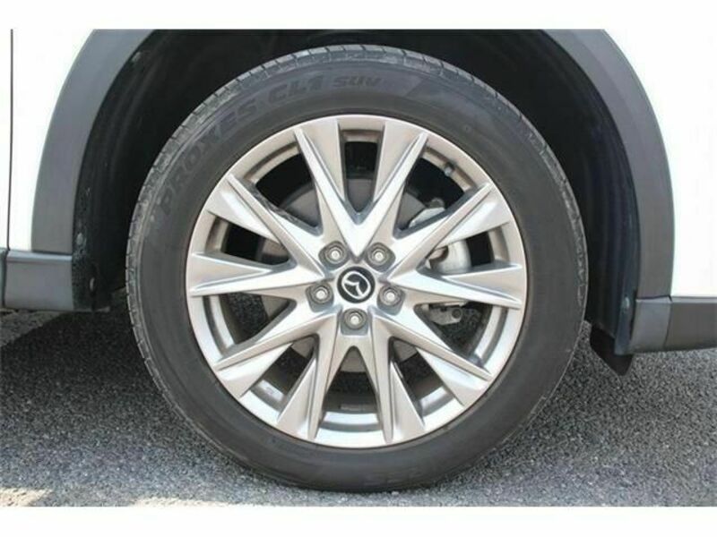 CX-8-11