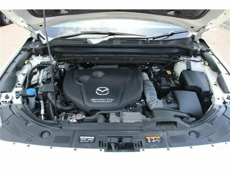 CX-8-18