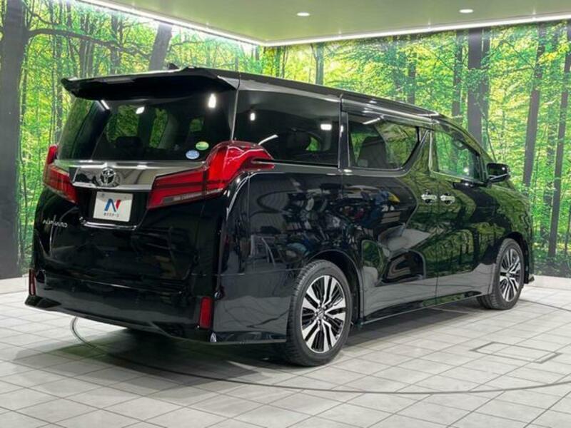 ALPHARD-17
