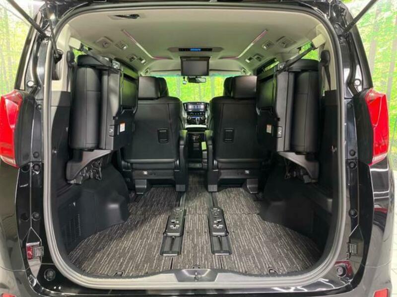ALPHARD-10
