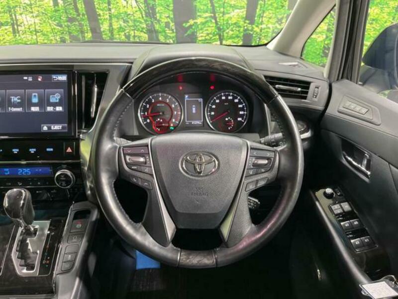 ALPHARD-11