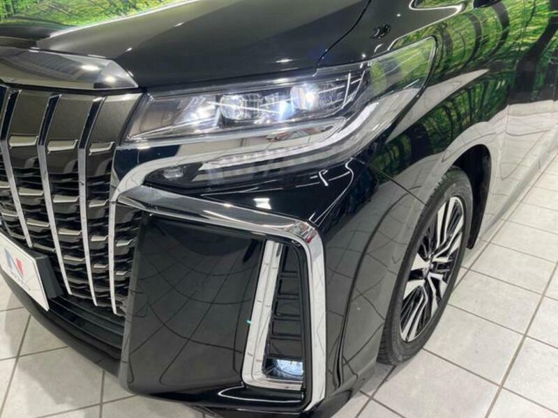 ALPHARD-12