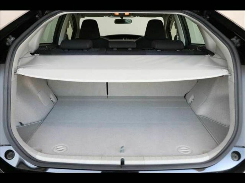 PRIUS-19