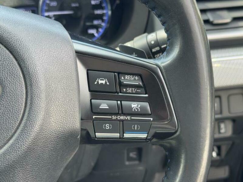 LEVORG-17