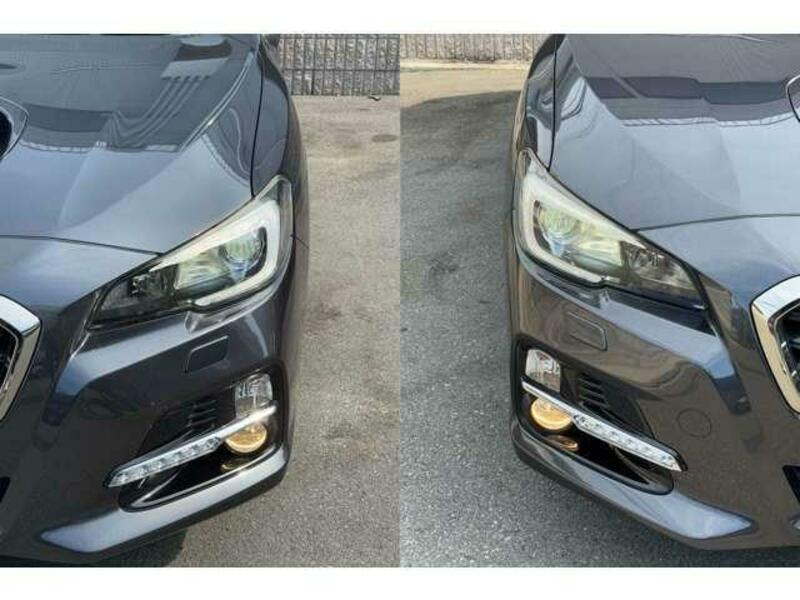LEVORG-8