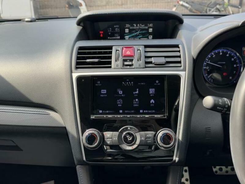 LEVORG-19