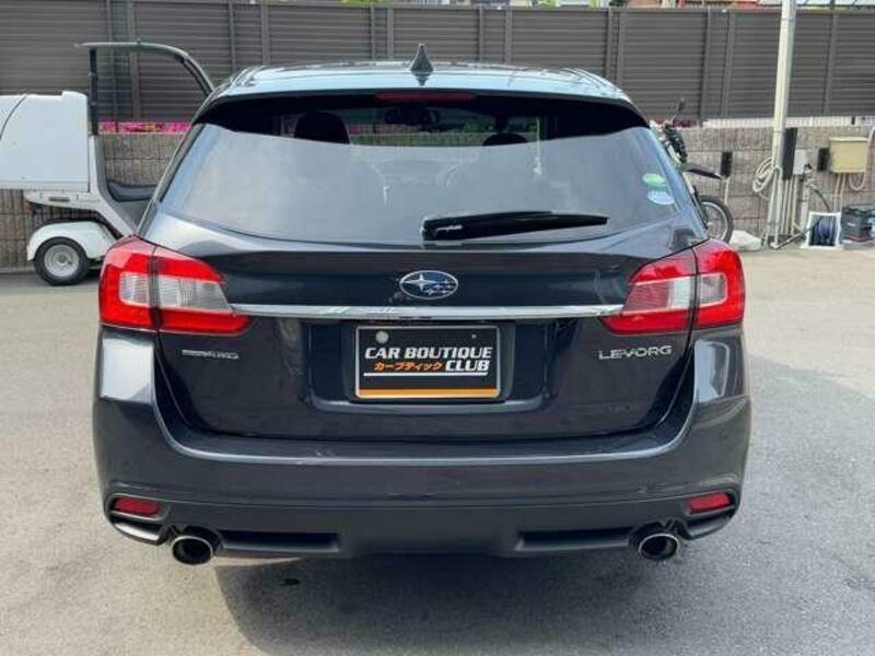 LEVORG-3