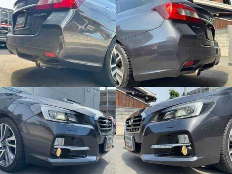 LEVORG-10
