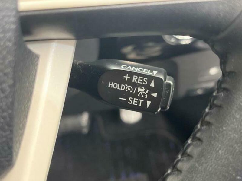 PRIUS-7