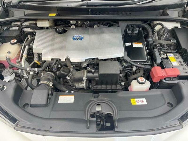 PRIUS-19