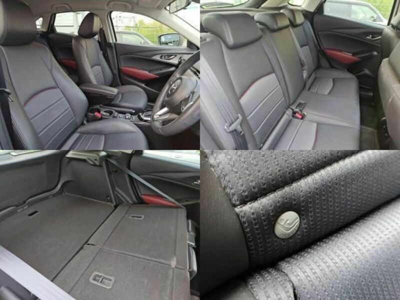 CX-3-6
