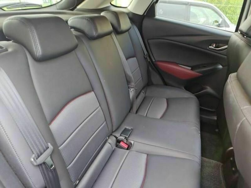 CX-3-21