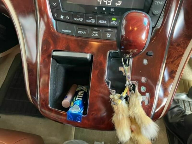 ALPHARD-26