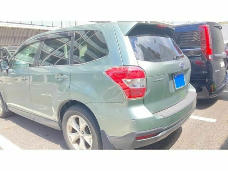 FORESTER