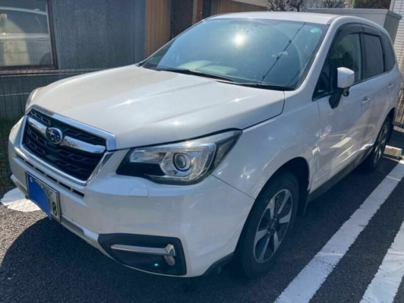 FORESTER
