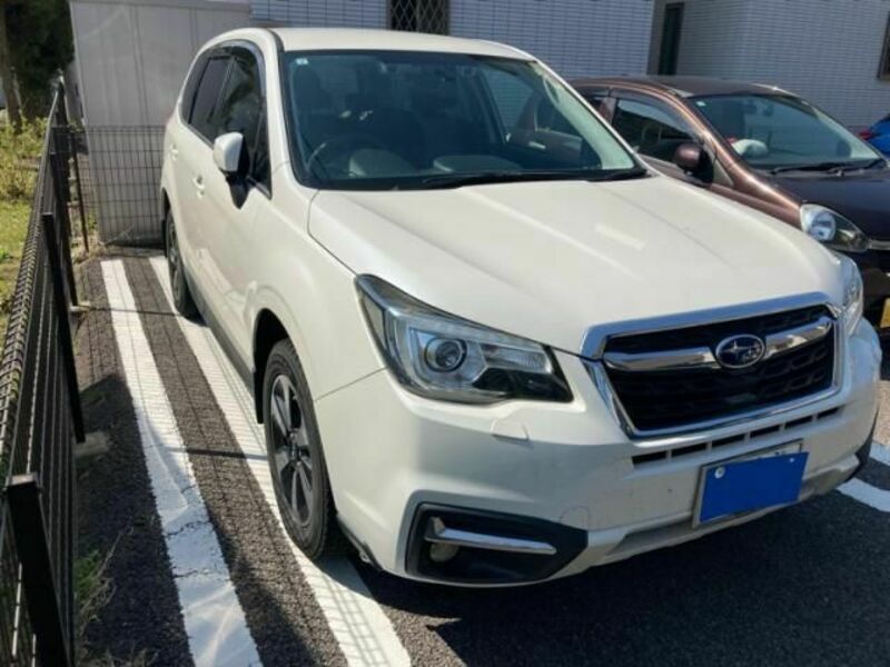 FORESTER