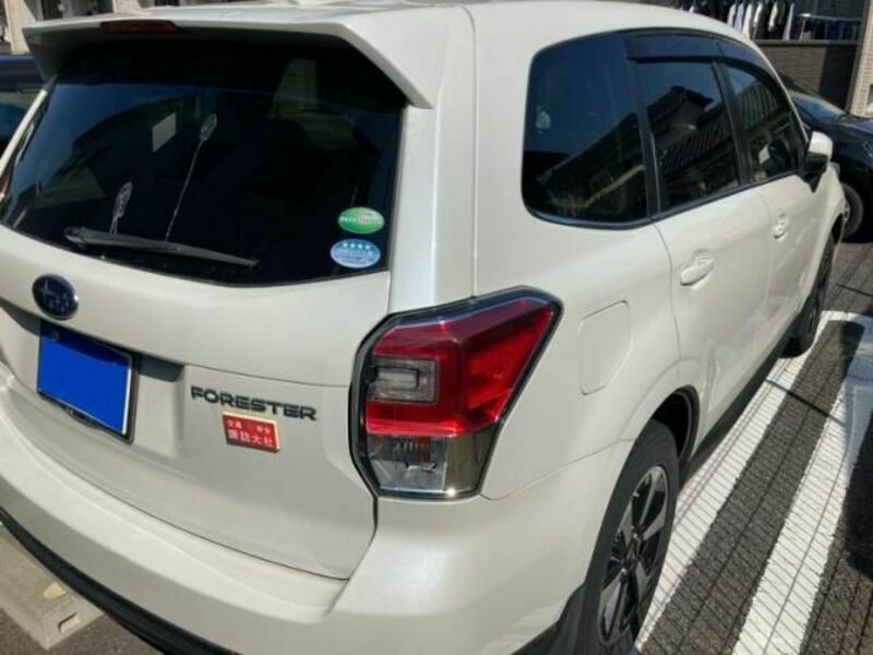FORESTER