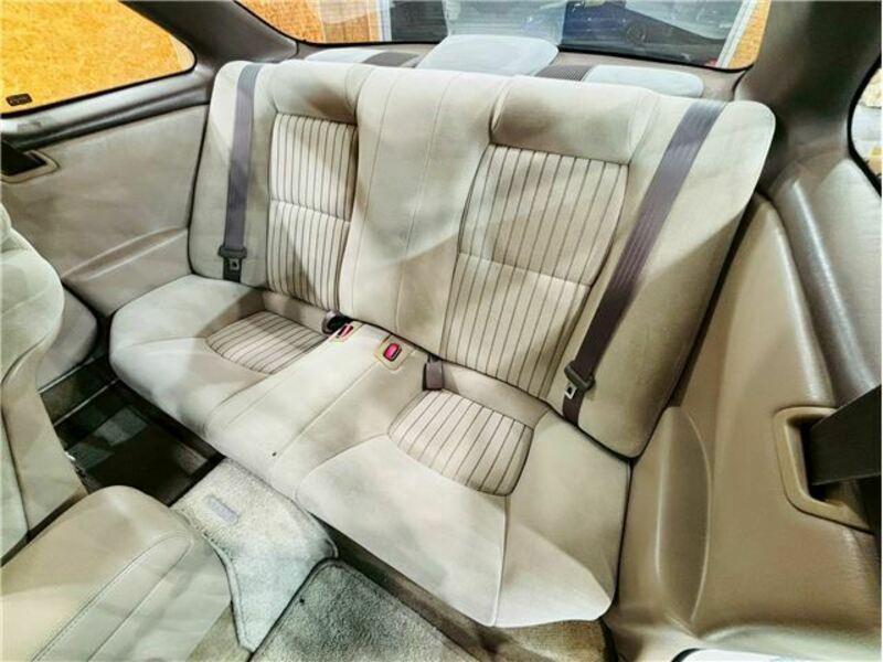 SOARER-31