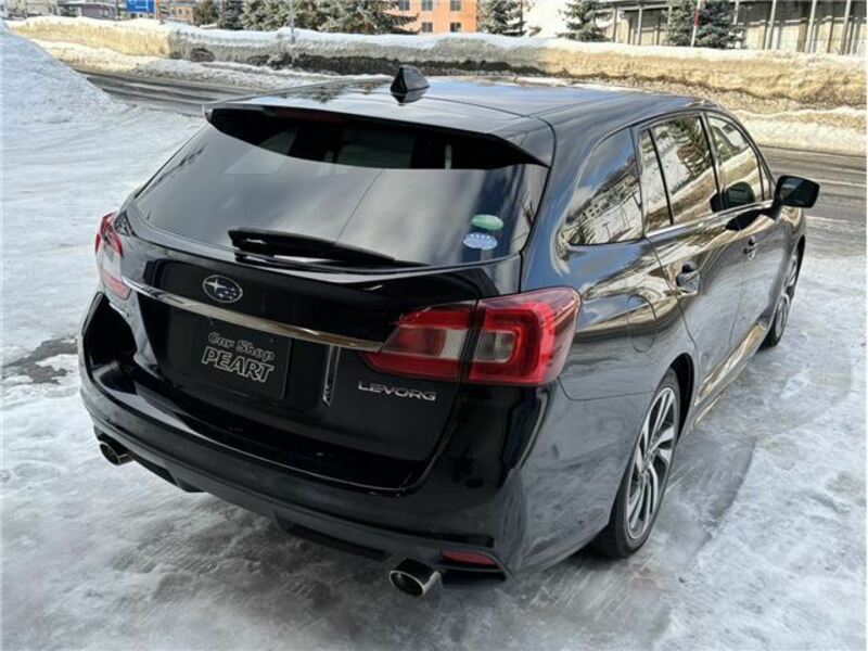 LEVORG-1