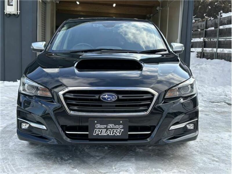 LEVORG-3