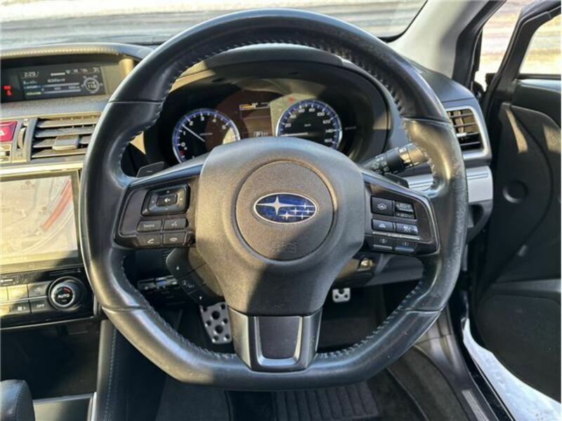 LEVORG-25