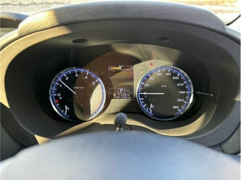 LEVORG-26