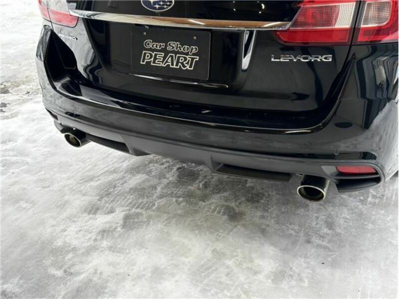 LEVORG-35