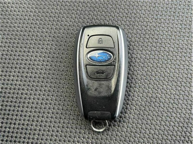 LEVORG-37