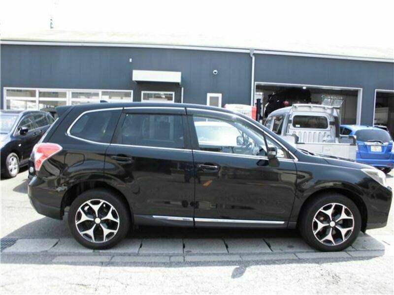 FORESTER