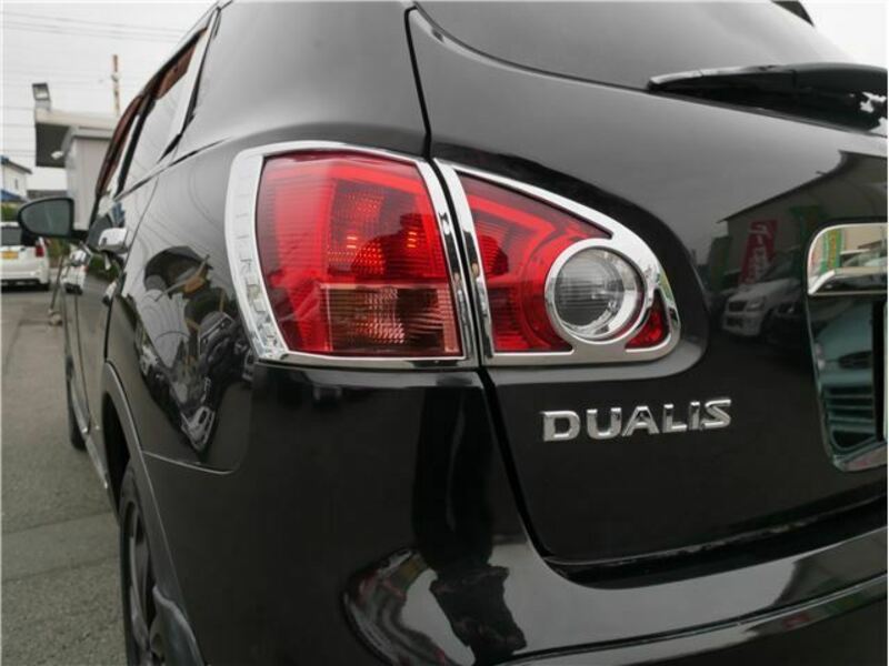 DUALIS-29
