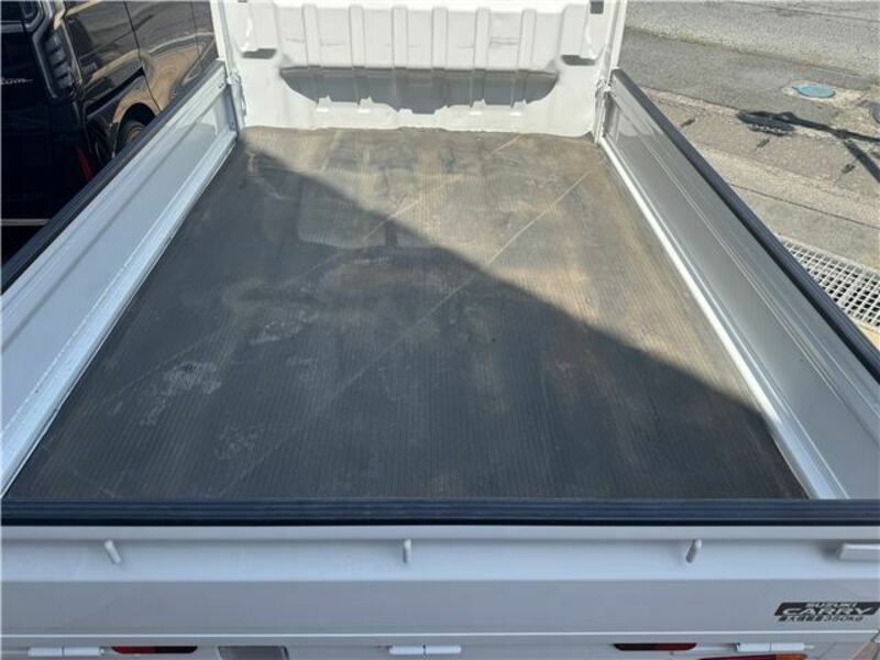 CARRY TRUCK-6