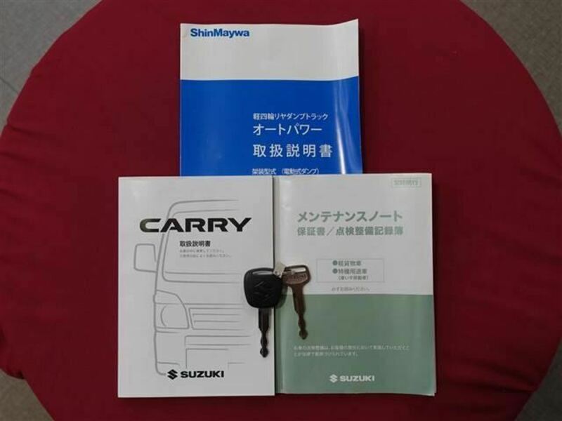 CARRY TRUCK-19