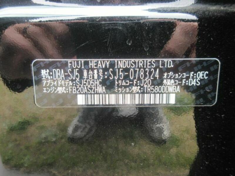 FORESTER