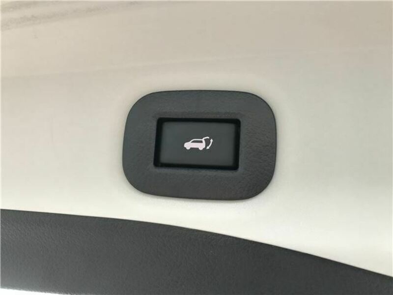 X-TRAIL-20