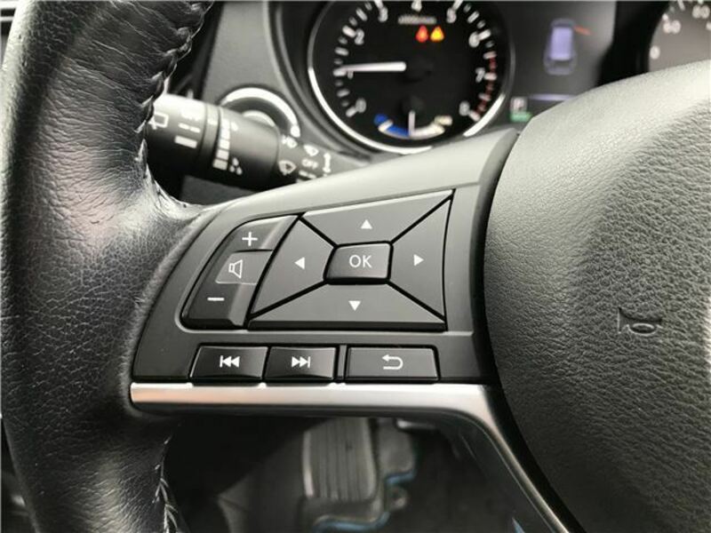 X-TRAIL-31